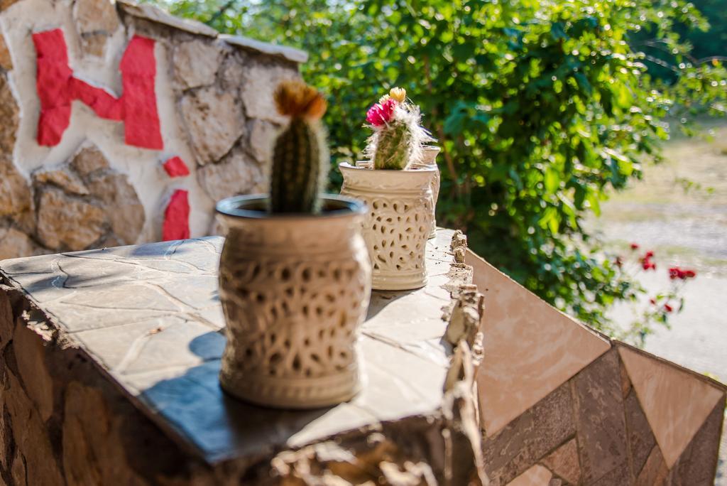 Ana Stjepan Nikolic - Pilgrim'S 2Nd Home Međugorje エクステリア 写真